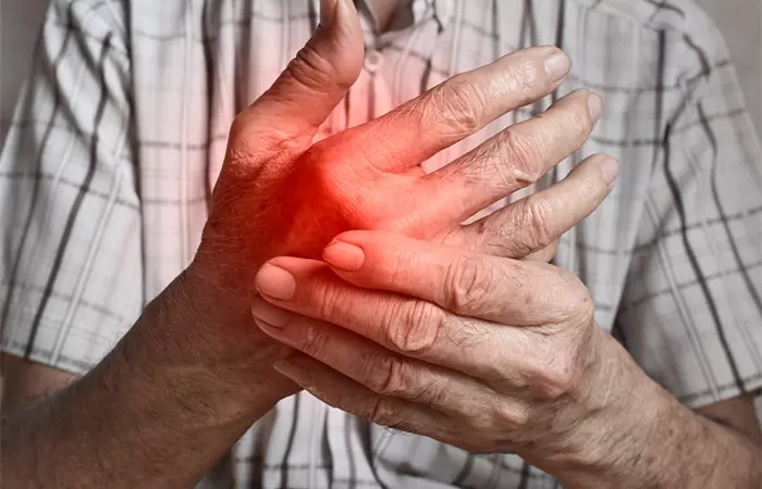 Chicory root may combat inflammatory arthritis