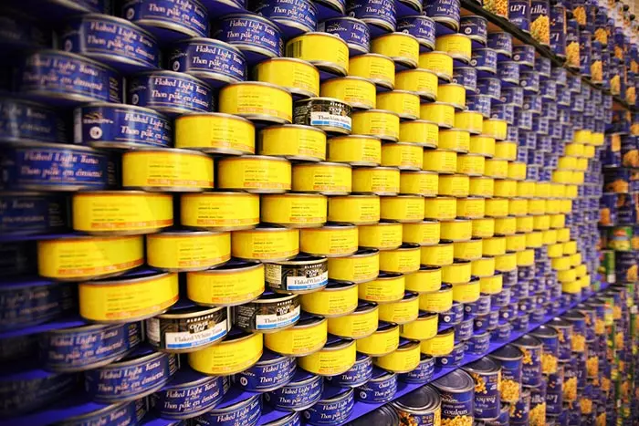 Canned tuna is rich in vitamin D