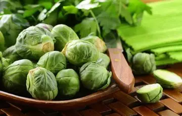Fresh Russel Brussel to increase platelet count naturally