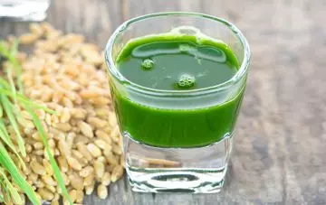 Wheatgrass to increase platelet count naturally