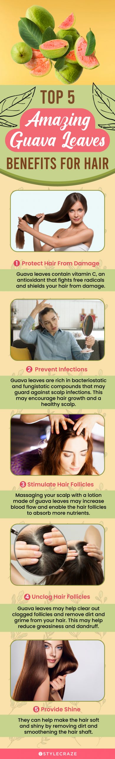 top 5 amazing guava leaves benefits for hair (infographic)