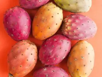 31 Benefits Of Prickly Pear Fruit For Skin, Hair & Health