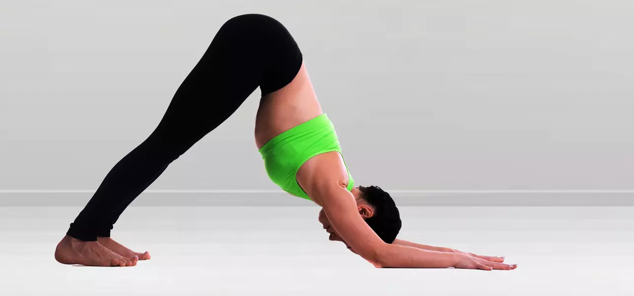 Dolphin Pose
