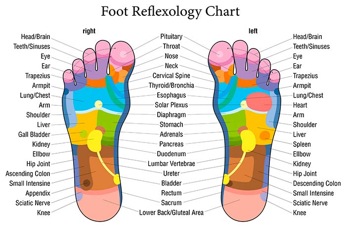 Foot reflexology char