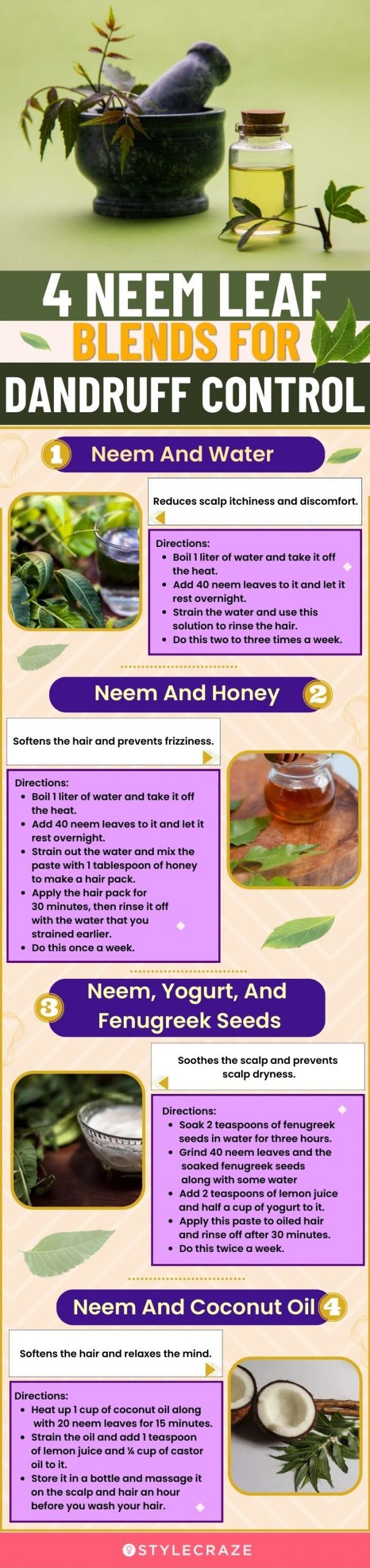 4 neem leaf blends for dandruff control (infographic)