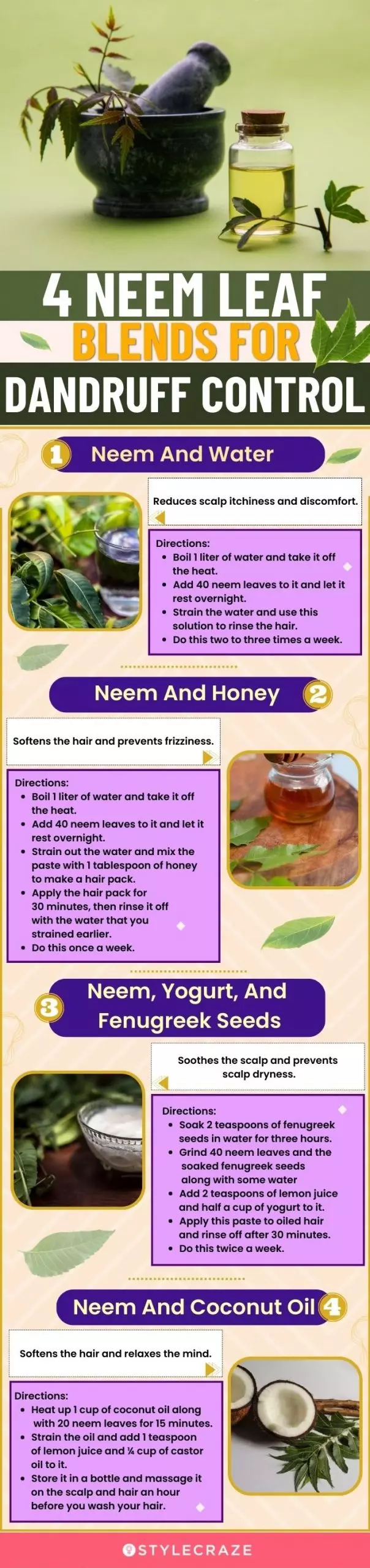 4 neem leaf blends for dandruff control (infographic)