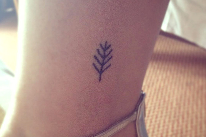 Elegant and tiny fern tattoo on lower leg