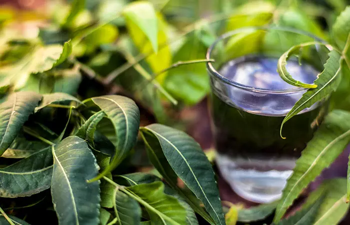 Water and neem leaves for preparing neem water