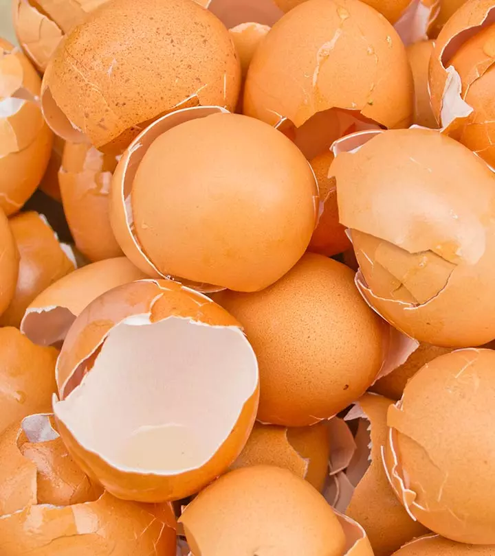 Do You Throw Away Eggshells? After Reading This Article, You Will Never Do That Again!