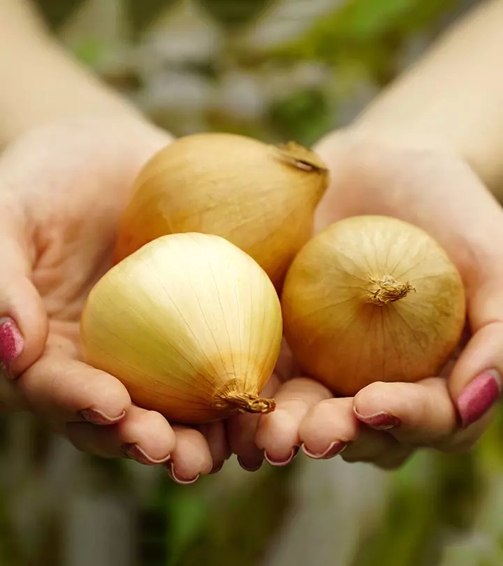 We Bet You Didn't Know What Rubbing An Onion On Your Hand Can Do