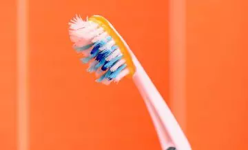 Bacteria In Overused Brushes