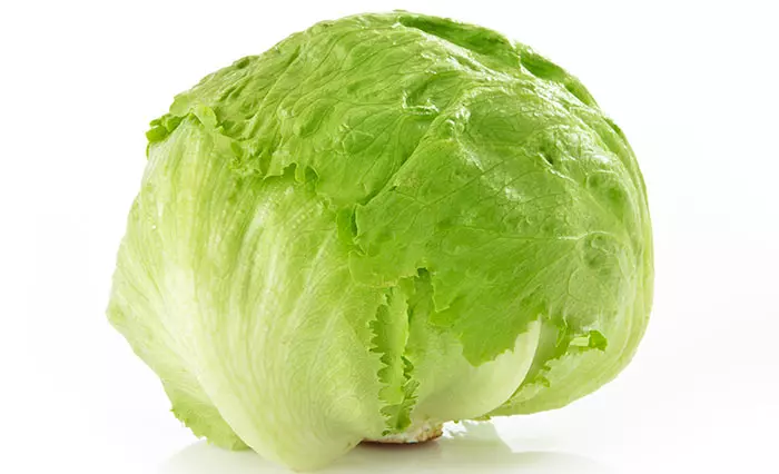Iceberg Lettuce