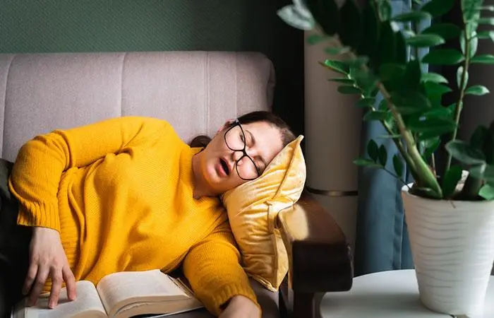 Napping Is Your New Hobby