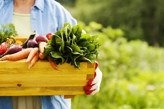 Switch To Organic Food
