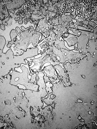 Under A Microscope