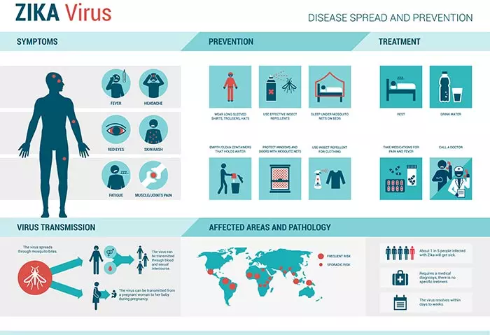 About The Zika Virus 
