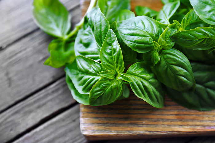 Basil to get rid of pimple in ear