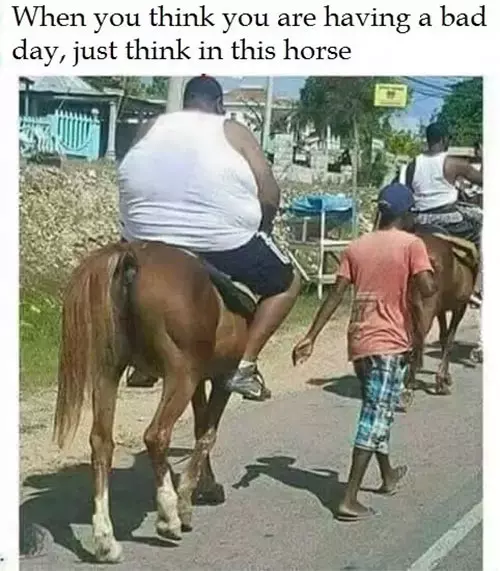 Poor horse!