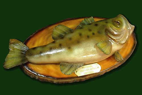 The Sculpted Fish Cake