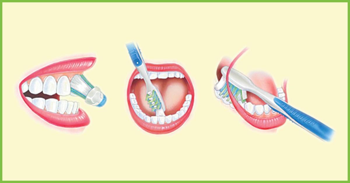 How To Maintain Your Oral Hygiene The Ayurvedic Way