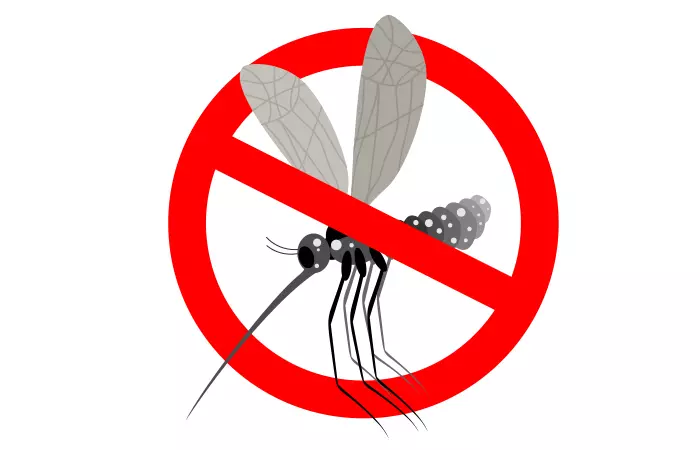 6. It Can Be Used As A Bug Repellent.