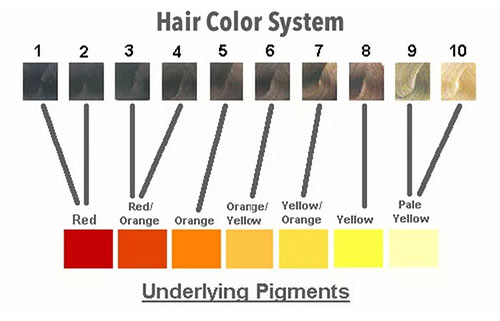 Pourquoi les cheveux virent-ils à l'orange
