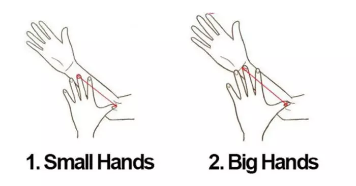 The-Size-Of-Your-Hand-Says-A-Lot-About-Your-Personality1