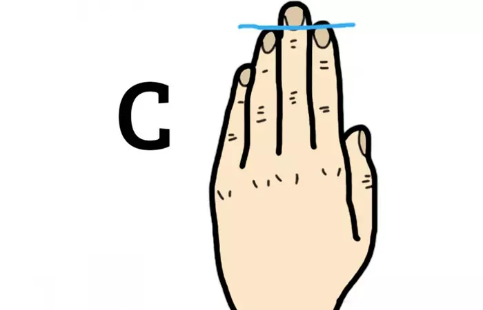 Hand-C