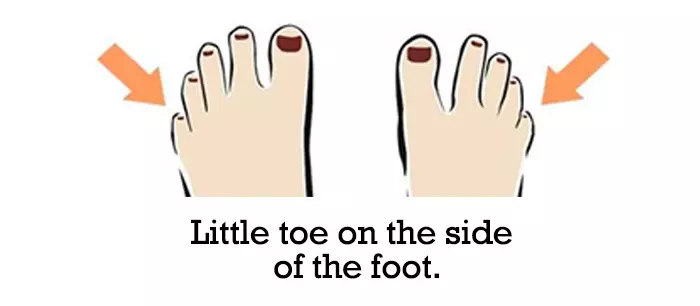 Little toe on the side of the foot