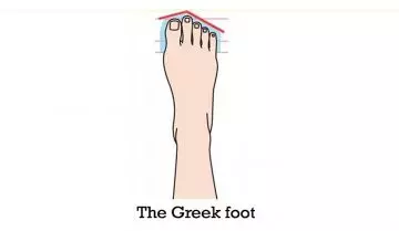 The-Greek-Foot
