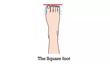 The-Square-Foot