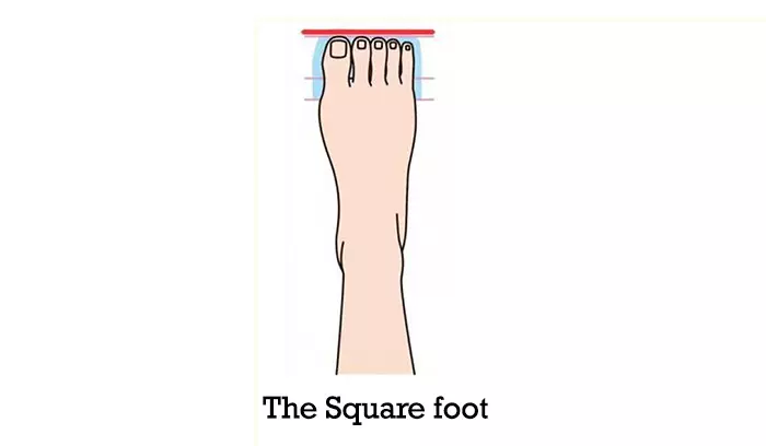 The-Square-Foot