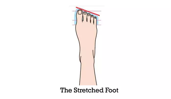 The-extended-foot