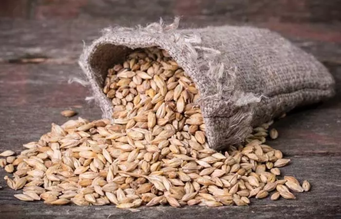 Barley is a high fiber food for weight loss