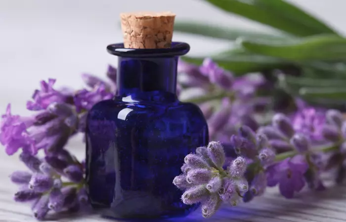Lavender-Oil
