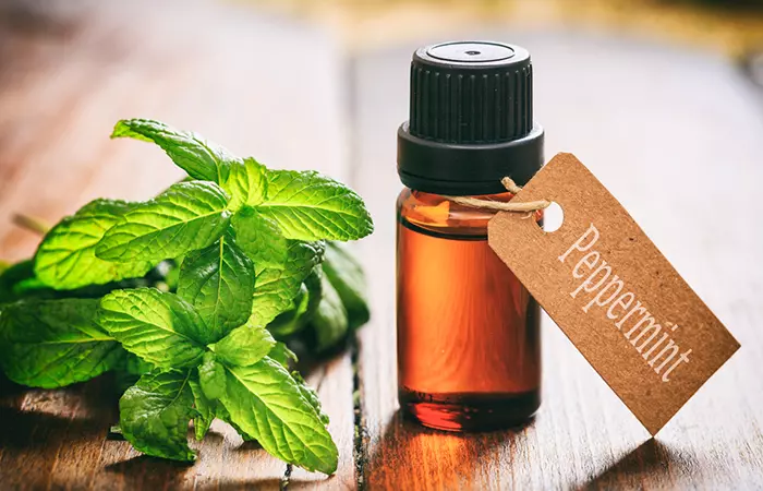 Peppermint-Oil