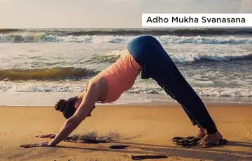 Benefits of Adho-Mukha-Svanasana or downward facing dog pose
