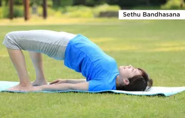 Sethu-bandhasana or bridge pose benefits