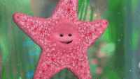 7. Play A Starfish