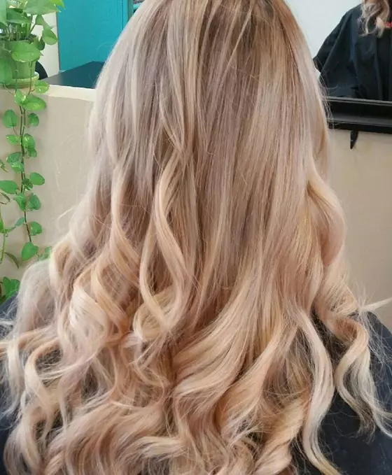 Silver toned honey blonde hair color idea for a regal look