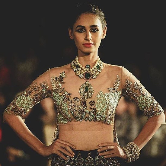 Fancy designer pattu saree blouse