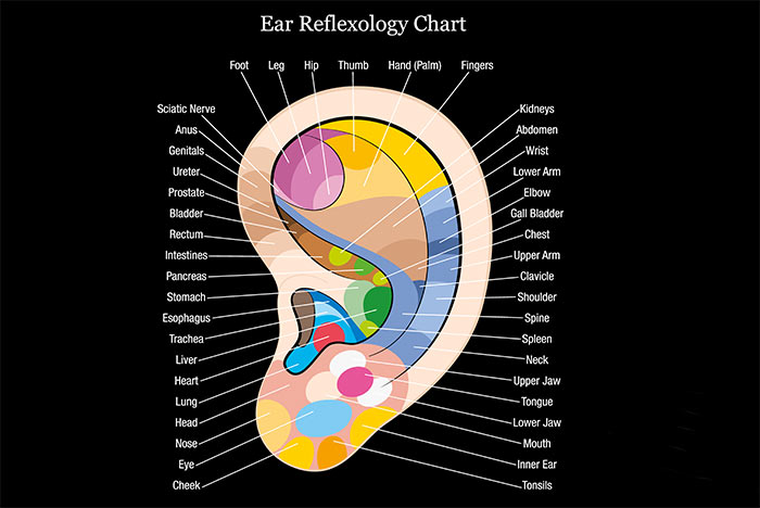 This Is What Your Ears Reveal About You