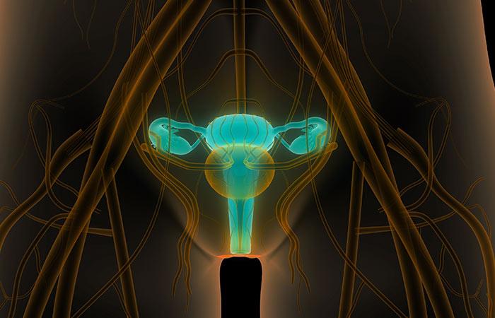 4. If You’re Facing Trouble Reaching Your Cervix