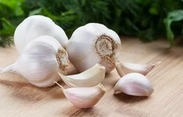5.-Garlic