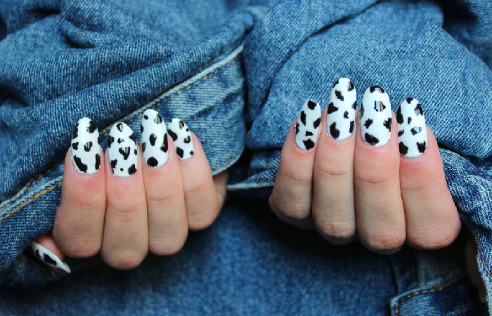 Black and white cow nail art design idea