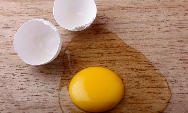 Tips To Make You A Pro In The Kitchen