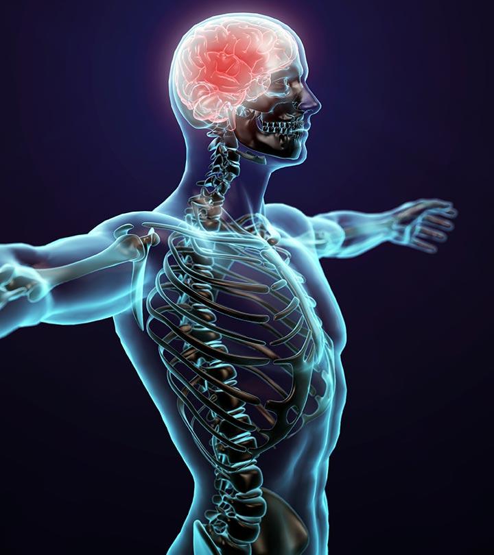10 Surprising Things You Didn’t Know About Your Body