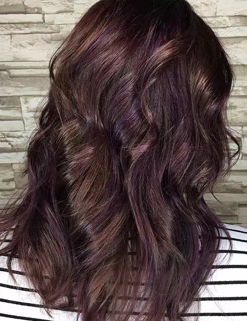 Purple and auburn highlights for dark hair