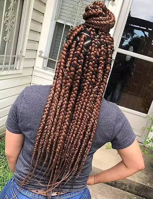 Glossy Brown  Braids