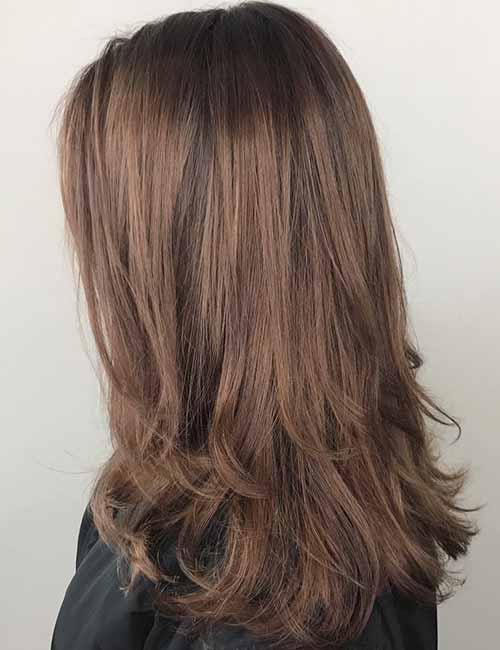 Lowlights For Light Brown Hair